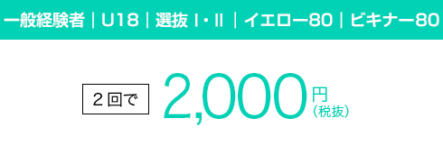 2回で2,000円(税抜)